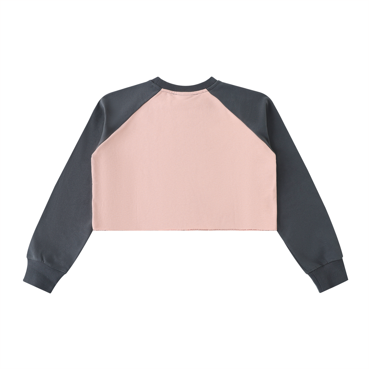 Anti-Social Raw-Hem Color-Block Raglan Crop Sweatshirt - Studio 653
