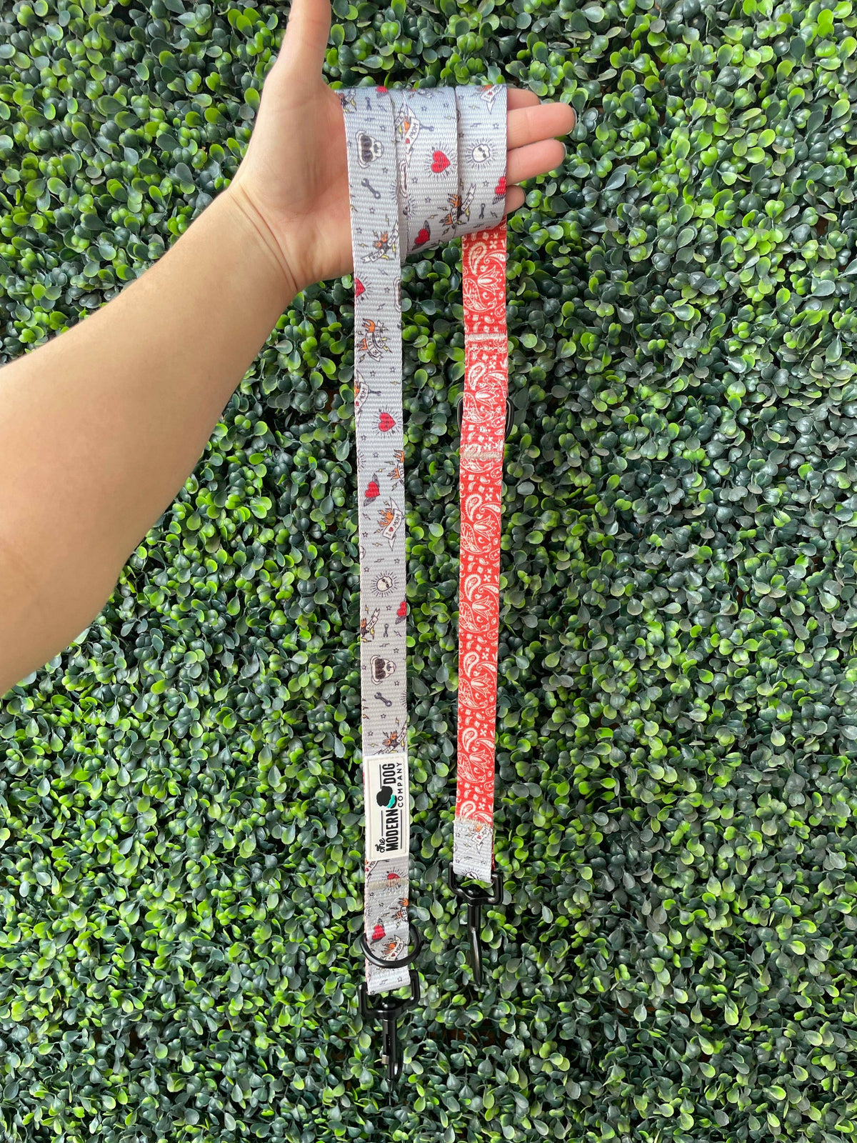 Bad to the Bone Dog Leash